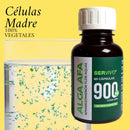 Alga AFA: Precursor de Células Madre (60 cápsulas)