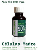 Alga AFA: Precursor de Células Madre (60 cápsulas)