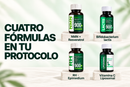 Protocolo de Energía