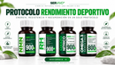 Protocolo Rendimiento Deportivo