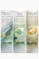 Cycloastragenol con Sulfurafano (60 Tabletas)